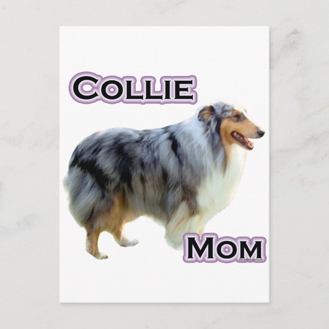 Collie Mamma 4 Vykort (Framsida)