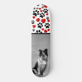 Collie Mini Skateboard Bräda 18,5 Cm