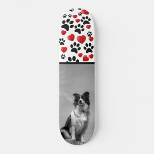 Collie Mini Skateboard Bräda 18,5 Cm