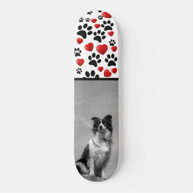 Collie Mini Skateboard Bräda 18,5 Cm (Framsida)