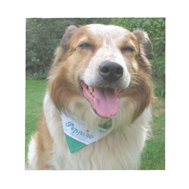 Collie mix i gräns anteckningsblock (Framsida)
