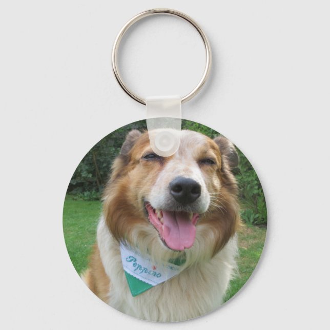 Collie mix i gräns nyckelring (Framsida)