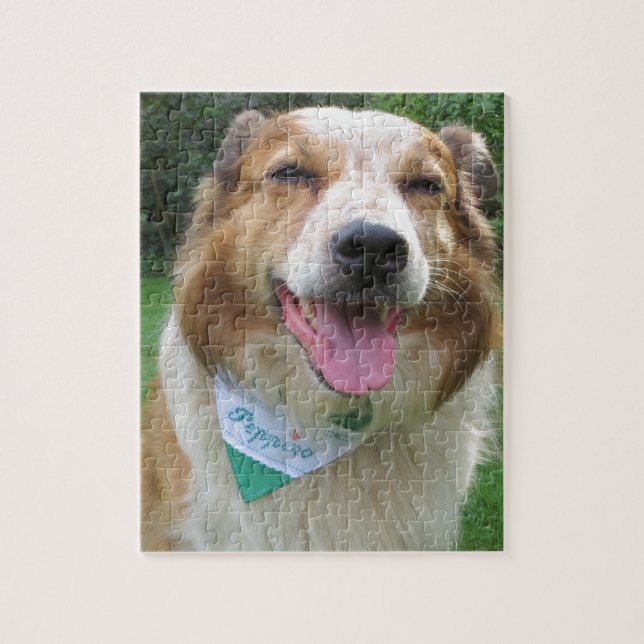 Collie mix i gräns pussel (Vertikal)