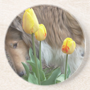 Collie n Tulips underläggs Underlägg Sandsten