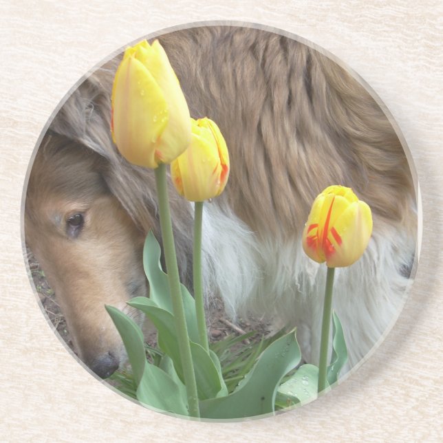 Collie n Tulips underläggs Underlägg Sandsten (Framsidan)