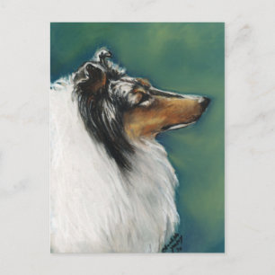 "Collie" Original Hund Art-vykort Vykort
