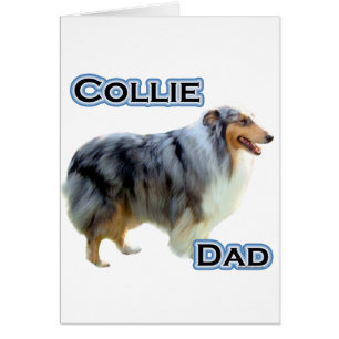 Collie Pappa 4 Hälsningskort