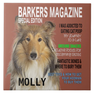 Collie Parody Magazine Cover Kakelplatta