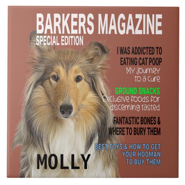 Collie Parody Magazine Cover Kakelplatta (Framsidan)