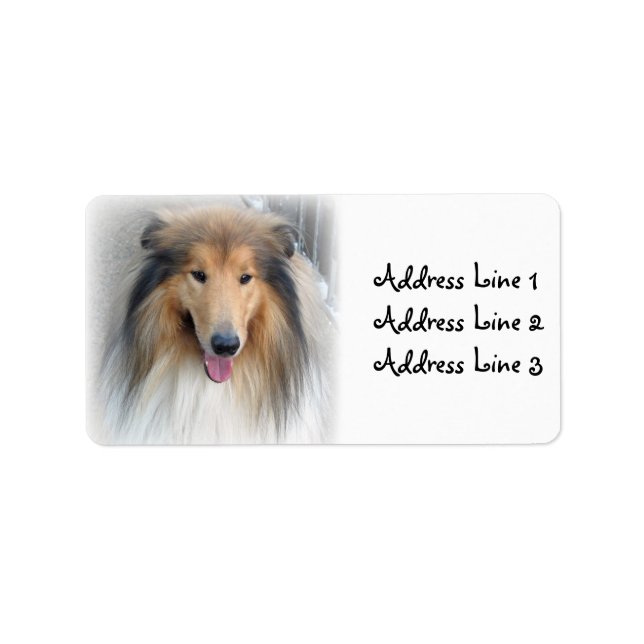 Collie Photo Address Label Adressetikett (Framsidan)