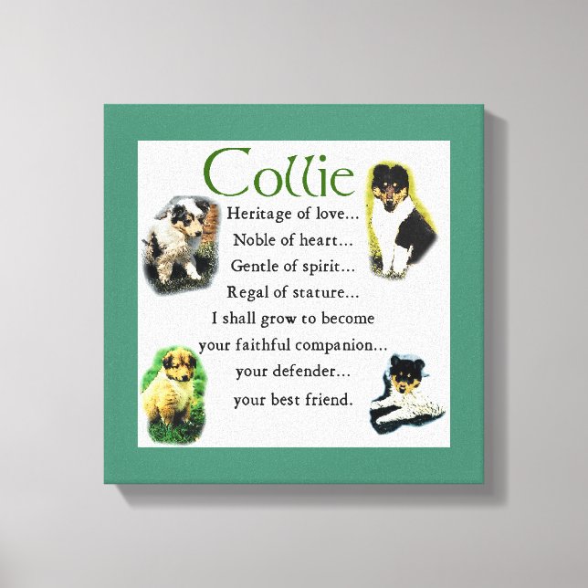 Collie Puppy Heritage of Kärlek Canvastryck (Framsida)