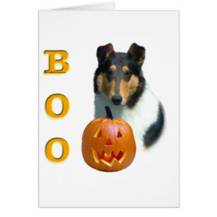 Collie (slät) Boo Hälsningskort