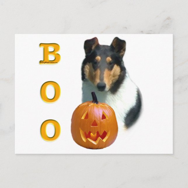 Collie (slät) Boo Vykort (Framsida)