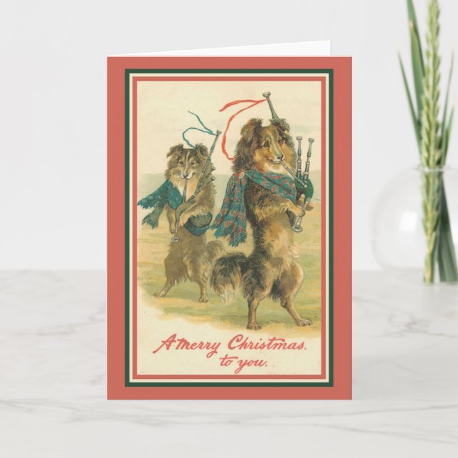 Collie Spelar Bagrör Helgkort (Framsida)