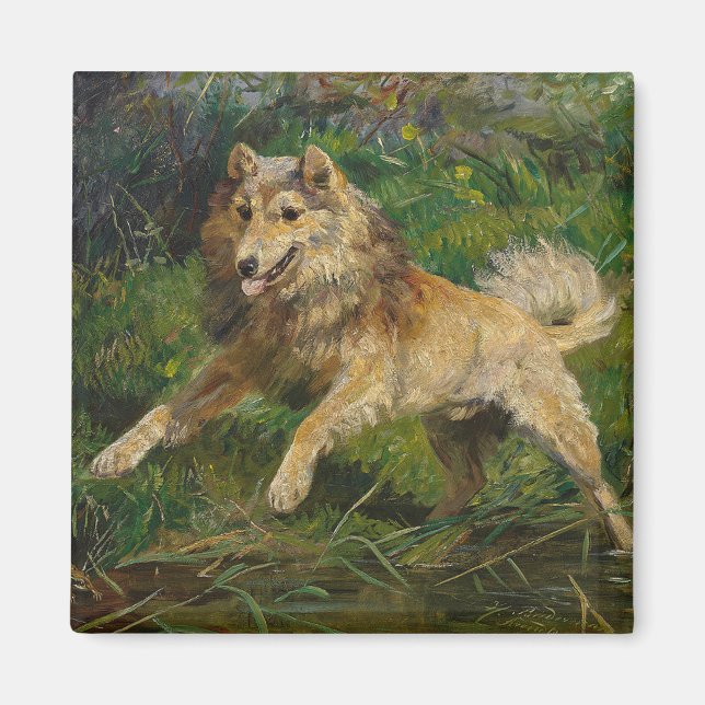 Collie tar på sig en grop av Hermine Biedermann Magnet (Framsidan)