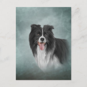 Collie teckning Hund aveln Gräns Vykort