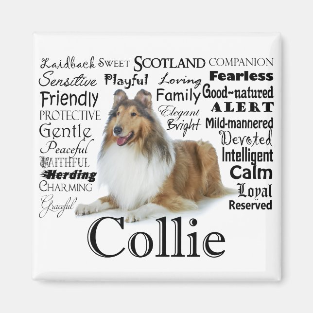 Collie Traits Magnet (Framsidan)