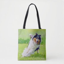 Collie