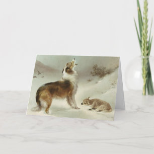 Collie und Schaf Kort