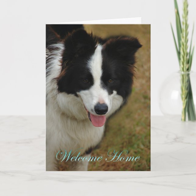 Collie Välkommen hem. Bra att du är hemma igen. Kort (Framsida)