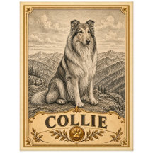 Collie, Vintage Heritage Hund