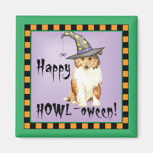 Collie Witch Magnet