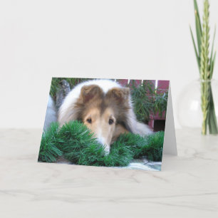 Colliehelgdagkort Helgkort