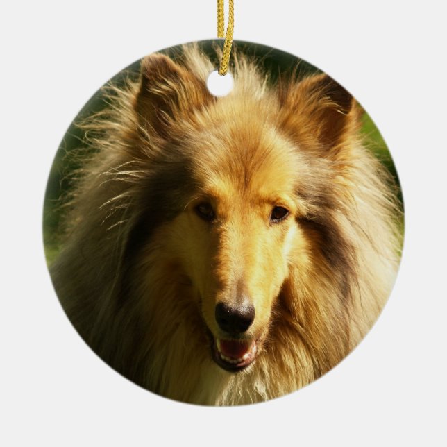 Colliehund avelnprydnad julgransprydnad keramik (Framsidan)