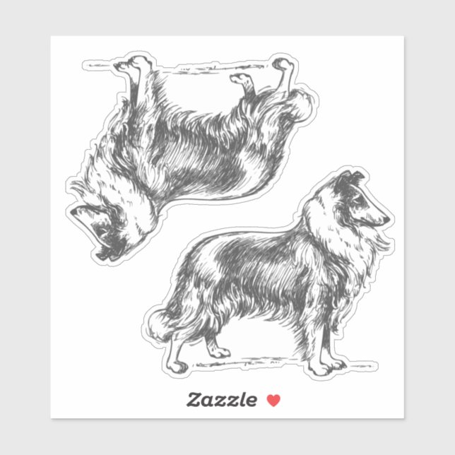 Colliehund Klistermärken (Ark)