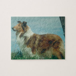 Colliehundpussel Pussel
