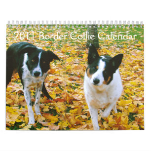 Colliekalender för 2011 gräns kalender