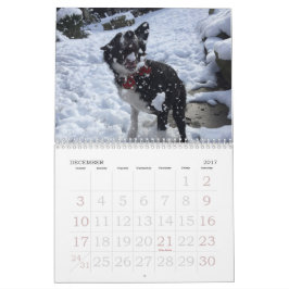 Colliekalender för 2017 gräns kalender