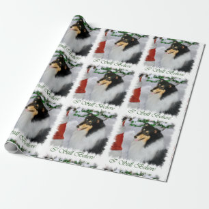 Collien möter Santa jul Presentpapper