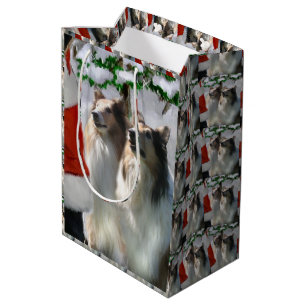 Collies och Santa jul
