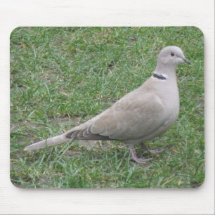 Collred Dove Mousepad Musmatta