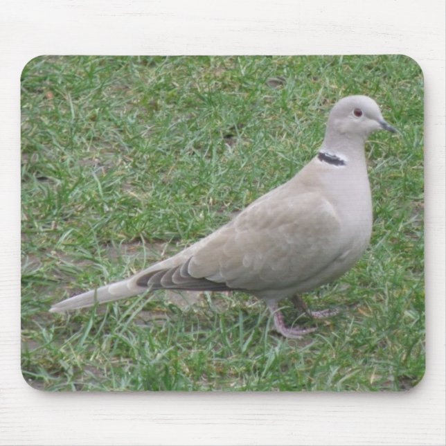Collred Dove Mousepad Musmatta (Framsidan)