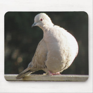 Collred Dove Mousepad Musmatta