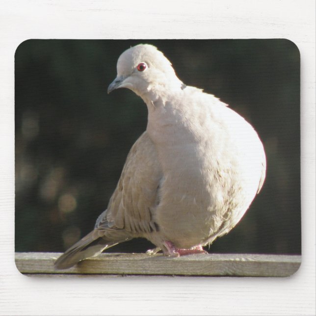 Collred Dove Mousepad Musmatta (Framsidan)
