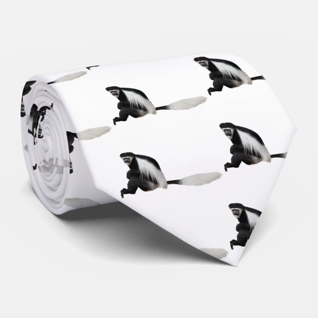 Colobus guereza slips (Rullad)