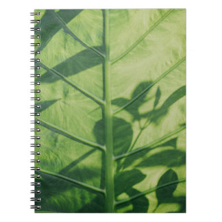 Colocasia esculenta löv anteckningsbok