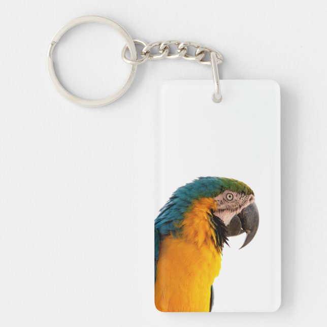 coloful Parrot  (Framsidan)