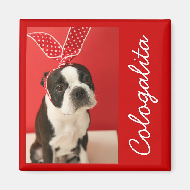 Cologalita Usamimi Magnets Magnet (Framsidan)