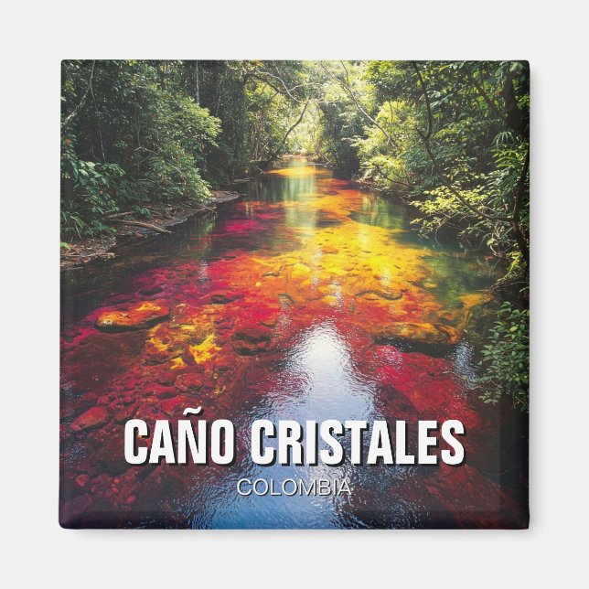 Colombia Cano Cristales Travel Magnet (Framsidan)