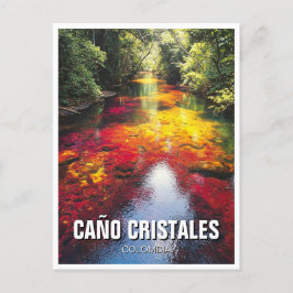 Colombia Cano Cristales Travel Vykort