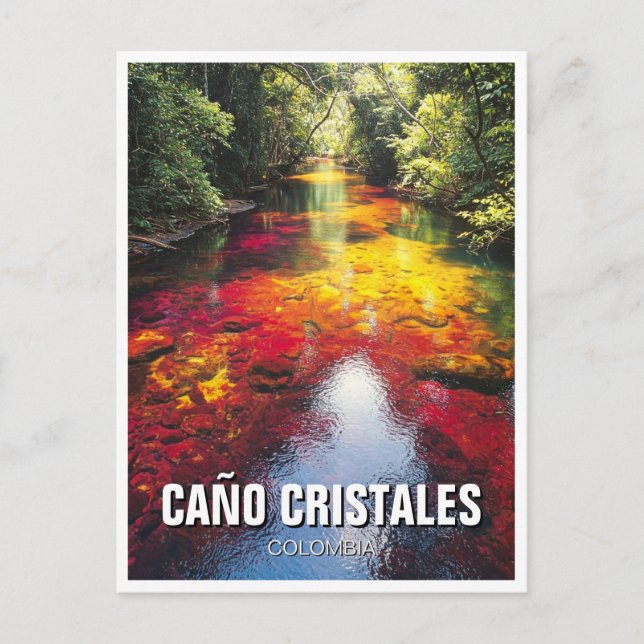 Colombia Cano Cristales Travel Vykort (Framsida)