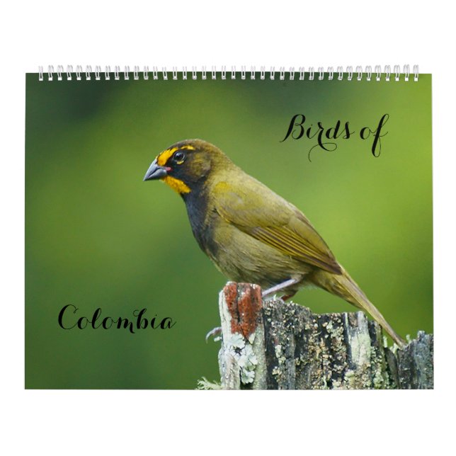 Colombias fåglar kalender (Omslag)