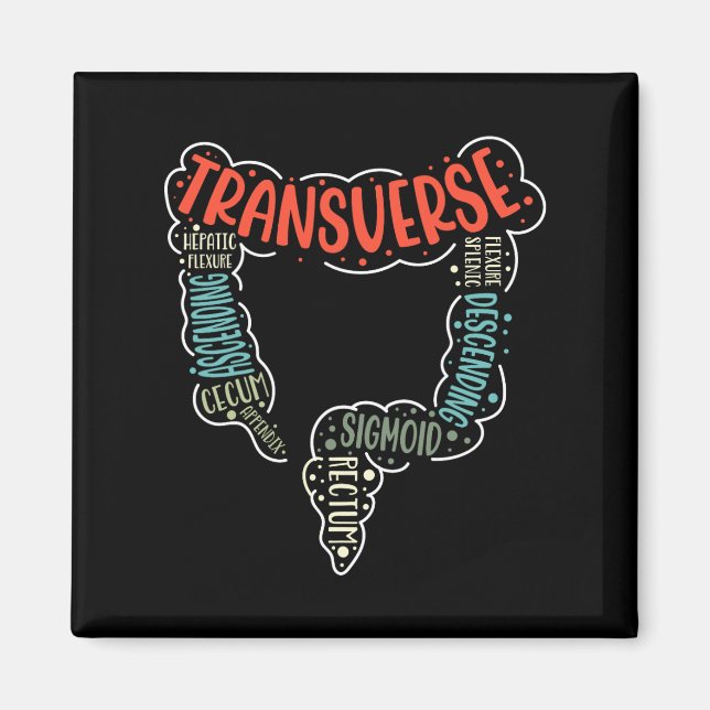 Colonoscopy Gi Funny Endoscopy Nurse Colon Anatomy Magnet (Framsidan)