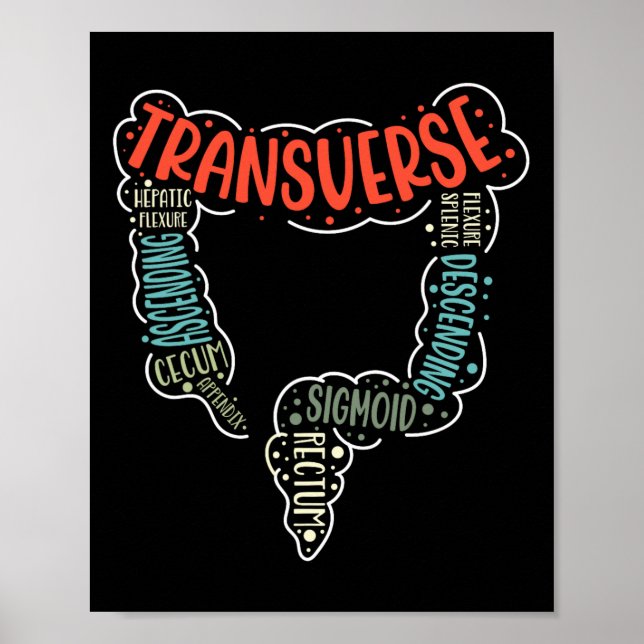 Colonoscopy Gi Funny Endoscopy Nurse Colon Anatomy Poster (Framsidan)