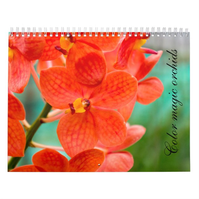 Color magic orchids kalender (Omslag)