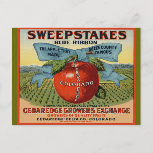 Colorado Apple Design Vykort